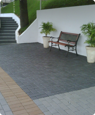 IMG00493-20110312-1454 1 1